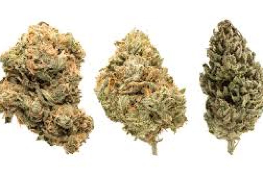 The best reputation due to its efficient service of Toronto weed delivery