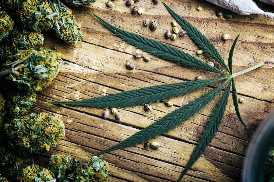 Read This To Clear The Air On Health Benefits Of Cannabis